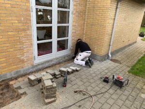 Etablering af radonsug